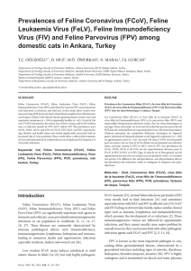 Prevalences of Feline Coronavirus (FCoV), Feline Leukaemia Virus