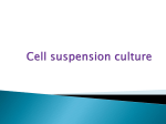 cell suspension and pathogen elimination for class