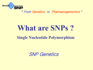 What are SNPs