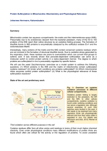 Protein Sulfenylation in Mitochondria: Biochemistry and