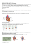 M19 Lesson 11 12.2 HANDOUT