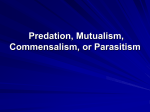 Predation, Mutualism, Commensalism, or Parasitism