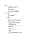 Chapter 3 Cells, Tissues, and Organ Systems