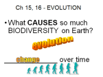 eoc evolution shortened