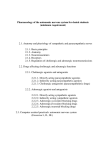 Pharmacology of the autonomic nervous system for dental students