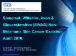 SWAG_Audit_2016