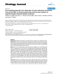 Immunohistochemistry for detection of avian infectious bronchitis