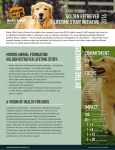 Golden Retriever Lifetime Study Initiative