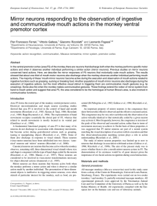 Mirror neurons responding to the observation of ingestive and