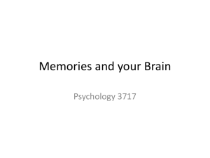 Memories and your Brain