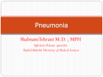 pneumoniae