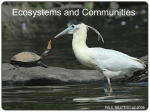 Ecosystems and Communities