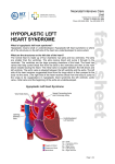 hypoplastic left heart syndrome