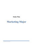 BSc study plan for marketing consentration