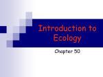 Introduction to Ecology