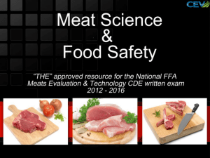 Meat Test PowerPoint