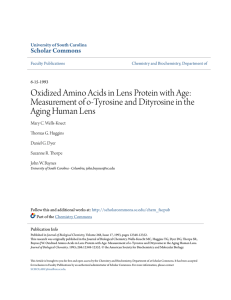 Oxidized Amino Acids in Lens Protein with Age