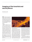 Imaging of the brachial and sacral plexus