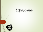 Liposome - PharmaStreet