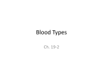 Blood Types - MrsSconyersAnatomy