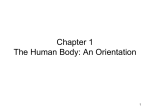 unit 1 human body orientation ppt teacher