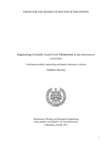 Engineering Cytosolic Acetyl-CoA Metabolism in Saccharomyces