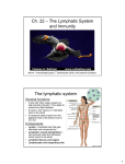 Ch. 22 – The Lymphatic System and Immunity The lymphatic system