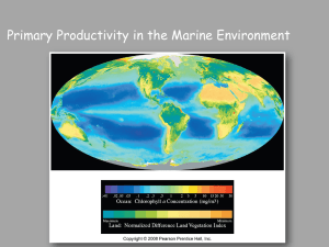 Chapter 13: Biological productivity and energy