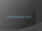 Microbiology - North Mac Schools
