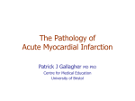 The Pathology of Acute Myocardial Infarction