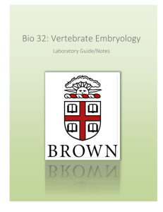 File - Vertebrate Embryology TA Help Site Welcome Bio