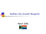 Buffalo City growth blueprint - South African Cities Network