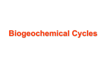 Notes: Biogeochemical Cycles