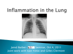 Inflammation in the Lung