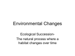 Environmental Changes2