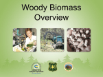 Woody Biomass Microsoft PowerPoint® Presentation