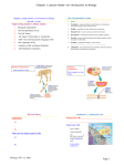 Chapter 1 Lecture Notes—an introduction to Biology