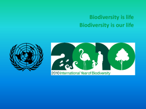 Biodiversity is life Biodiversity is our life