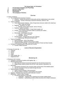 Chapter One The Human Body: An Orientation