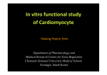 In vitro functional study of Cardiomyocyte