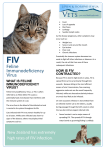 FIV Feline Immunodeficiency Virus