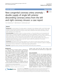 New congenital coronary artery anomaly – double supply of single