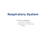 Respiratory System 1[PPT]
