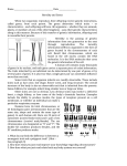 Name Date Heredity and Genes When two organisms reproduce