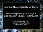 Problem behaviors - Lakeview NeuroRehabilitation Center