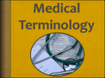 Medical Terminology PP