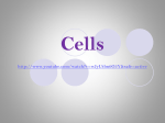 Cells - WordPress.com