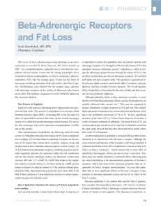 Beta-Adrenergic Receptors and Fat Loss