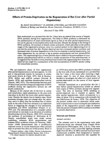 Effects of Protein-Deprivation on the Regeneration of Rat Liver after