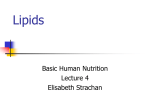 Basic Human Nutrition